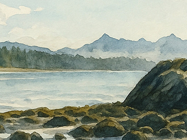 Tofino Rocky Shore, British Columbia, Canada